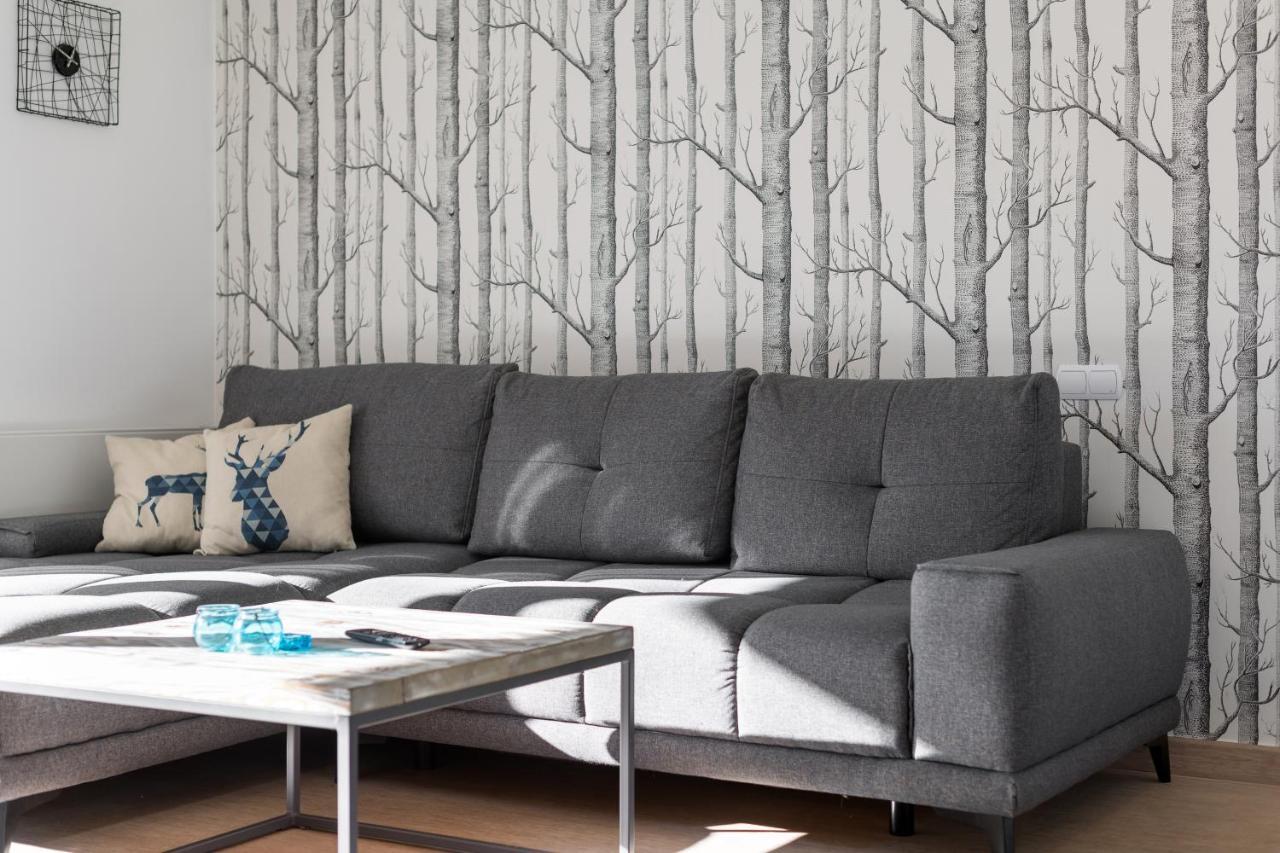 זקופאנה Apartament Scandinavia מראה חיצוני תמונה